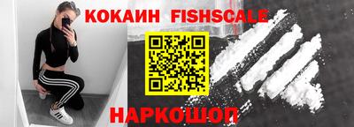 тгк Гусев
