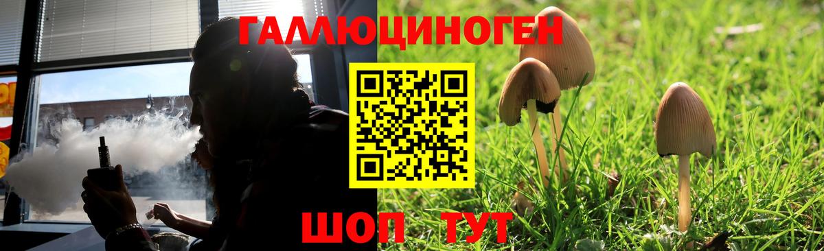 Менделеевск  Псилоцибиновые грибы MAGIC MUSHROOMS  Вход с VPN 